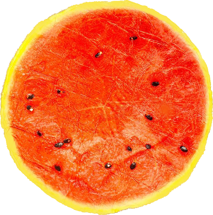 Water melon Summer slice blanket